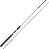 CANNE SPINNING SERT FISH INSTINCT FW20 SPINCAST -Fishing Soldes canne spinning sert fish instinct fw20 spincast z 2023 202306