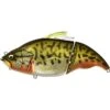 LEURRE COULANT MEGABASS VATALION 190 SS - 19CM 1 LEURRE COULANT MEGABASS VATALION 190 SS - 19CM -Fishing Soldes leurre coulant megabass vatalion 190 19cm z 1971 197141