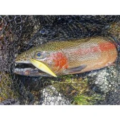 LEURRE COULANT STUCKI FISHING FANATICS QUARRY 80FS - 8CM -Fishing Soldes leurre coulant stucki fishing fanatics quarry 80fs 8cm z 2739 273978 3