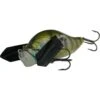 LEURRE DE SURFACE ADUSTA ZACRAWL JR DASH - 6.5CM -Fishing Soldes leurre de surface adusta zacrawl jr dash 65cm z 2651 265151