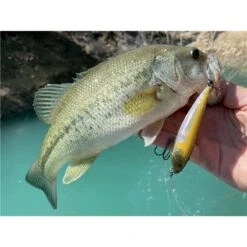 LEURRE DE SURFACE STUCKI FISHING FANATICS STRAYER 82F - 8.2CM -Fishing Soldes leurre de surface stucki fishing fanatics strayer 82f 82cm z 2739 273982 3