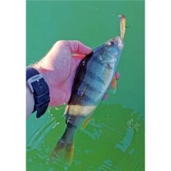 LEURRE DE SURFACE STUCKI FISHING FANATICS STRAYER 82F - 8.2CM -Fishing Soldes leurre de surface stucki fishing fanatics strayer 82f 82cm z 2739 273982 5
