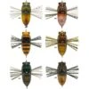LEURRE DE SURFACE TIEMCO TINY CICADA BASS TUNE - 3.5CM -Fishing Soldes leurre de surface tiemco tiny cicada bass tune 35cm z 1619 161927