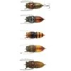 LEURRE DE SURFACE TIEMCO TINY CICADA TT - 3.5CM -Fishing Soldes leurre de surface tiemco tiny cicada tt 35cm z 1273 127306