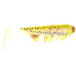 LEURRE SOUPLE HOSTAGEVALLEY SHAD - 18CM -Fishing Soldes leurre souple hostagevalley shad 18cm z 2479 247971 3