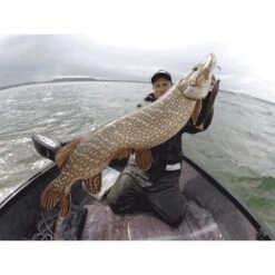 LEURRE SOUPLE HOSTAGEVALLEY SHAD - 18CM -Fishing Soldes leurre souple hostagevalley shad 18cm z 2479 247971 4